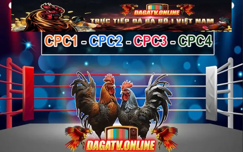Dagatv - trang chủ live đá gà trực tiếp tại Việt Nam