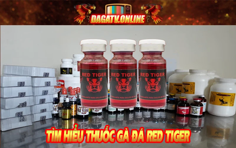 cơ bản cần biết về thuốc gà đá Red Tiger